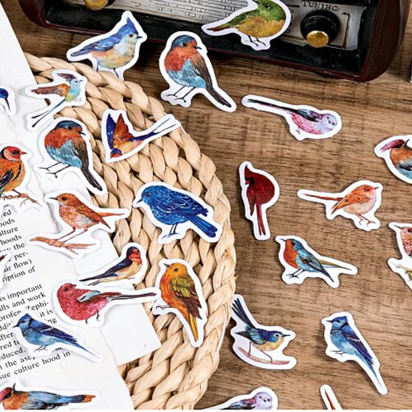 Garden Birds - Self Adhesive Sticker Box