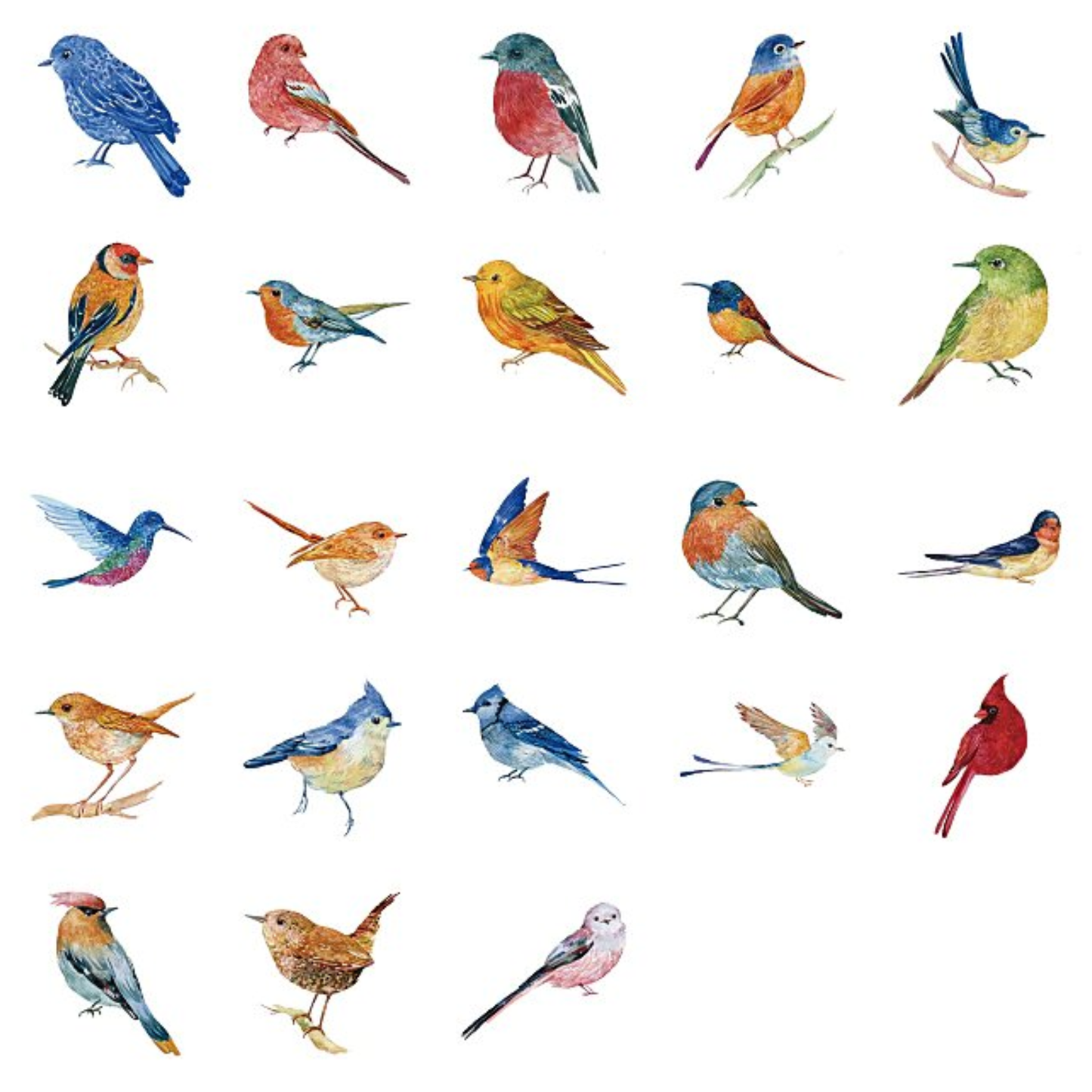 Garden Birds - Self Adhesive Sticker Box