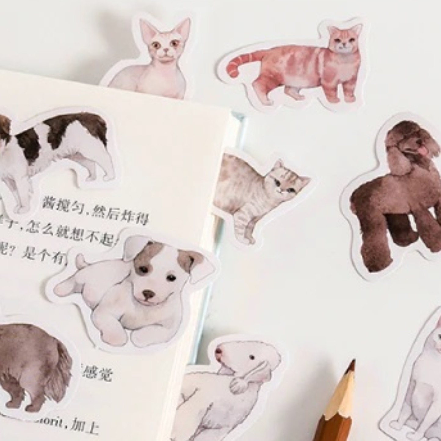 I Love Cats & Dogs - Self Adhesive Sticker Box