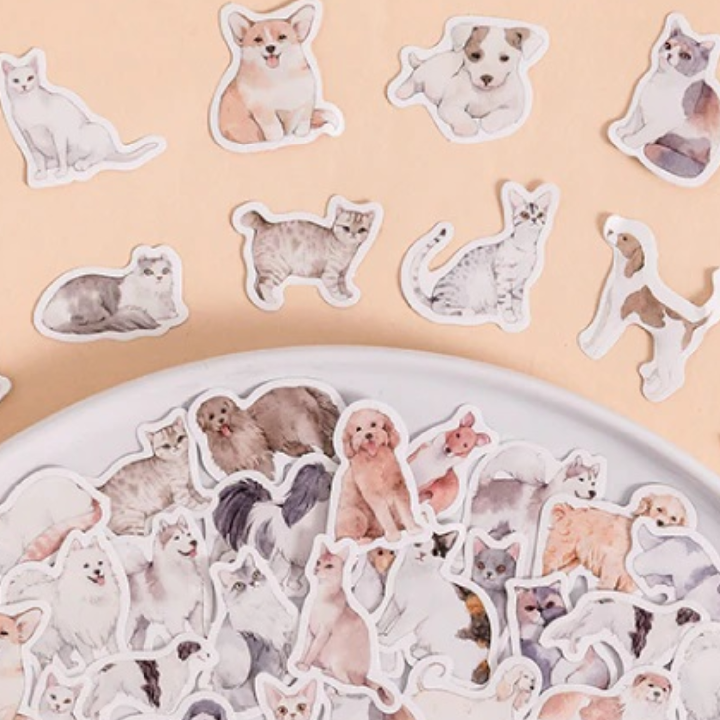 I Love Cats & Dogs - Self Adhesive Sticker Box