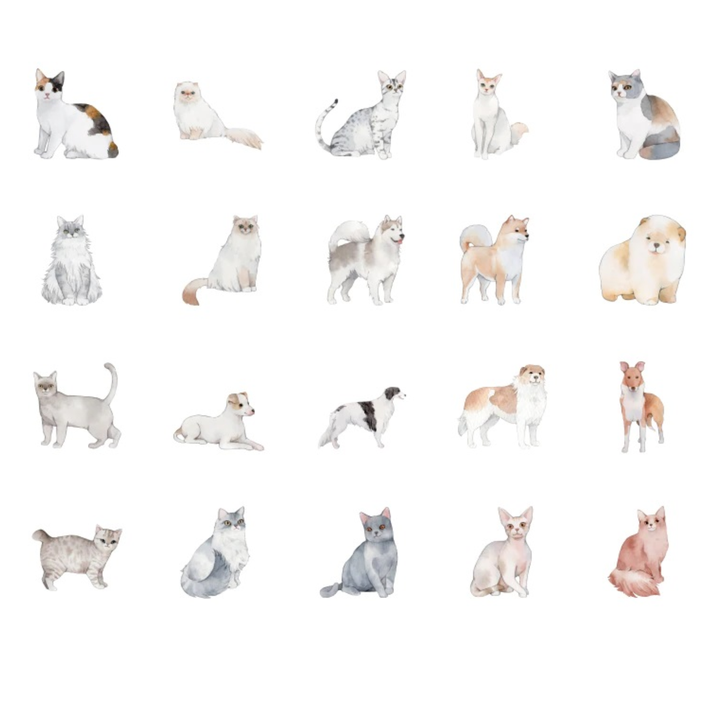 I Love Cats & Dogs - Self Adhesive Sticker Box