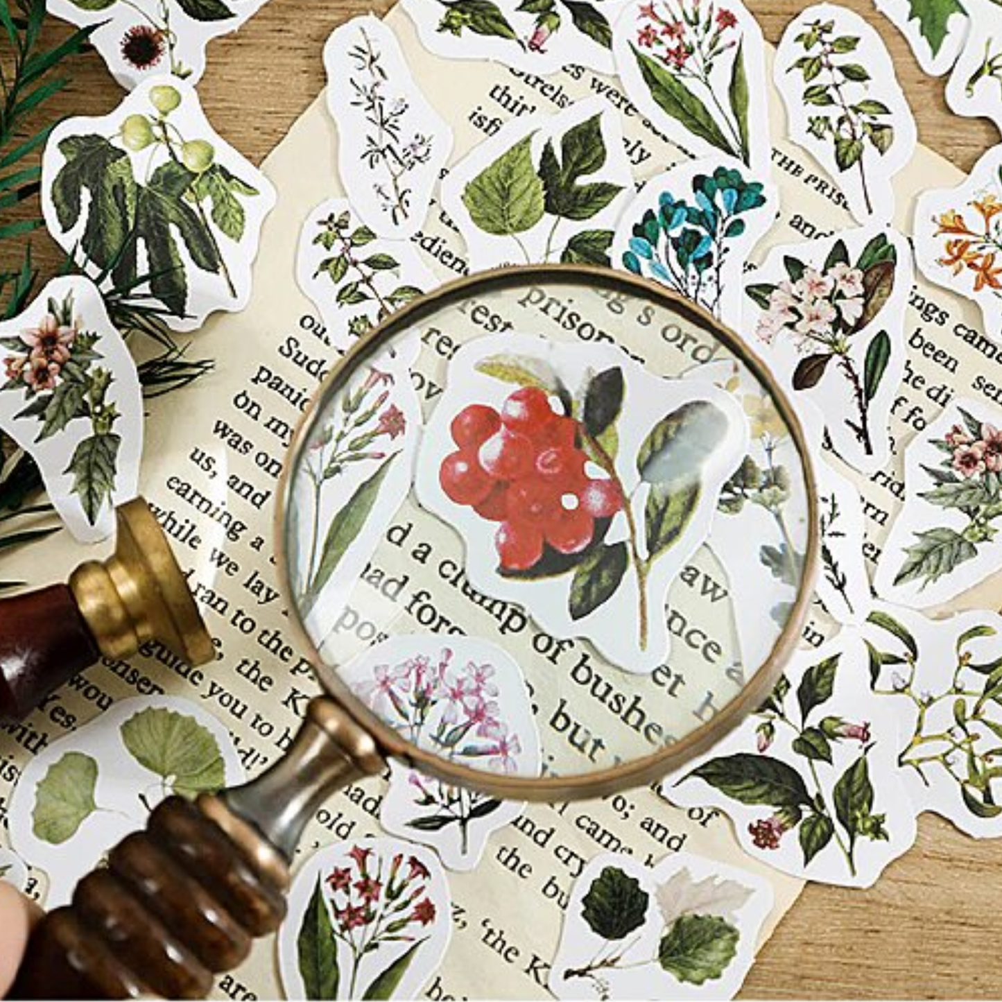 Institute of Botany - Self Adhesive Sticker Box