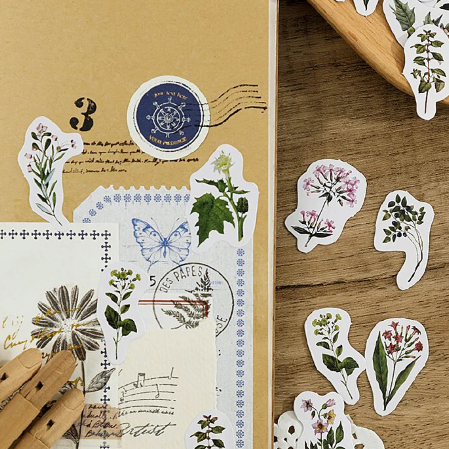 Institute of Botany - Self Adhesive Sticker Box