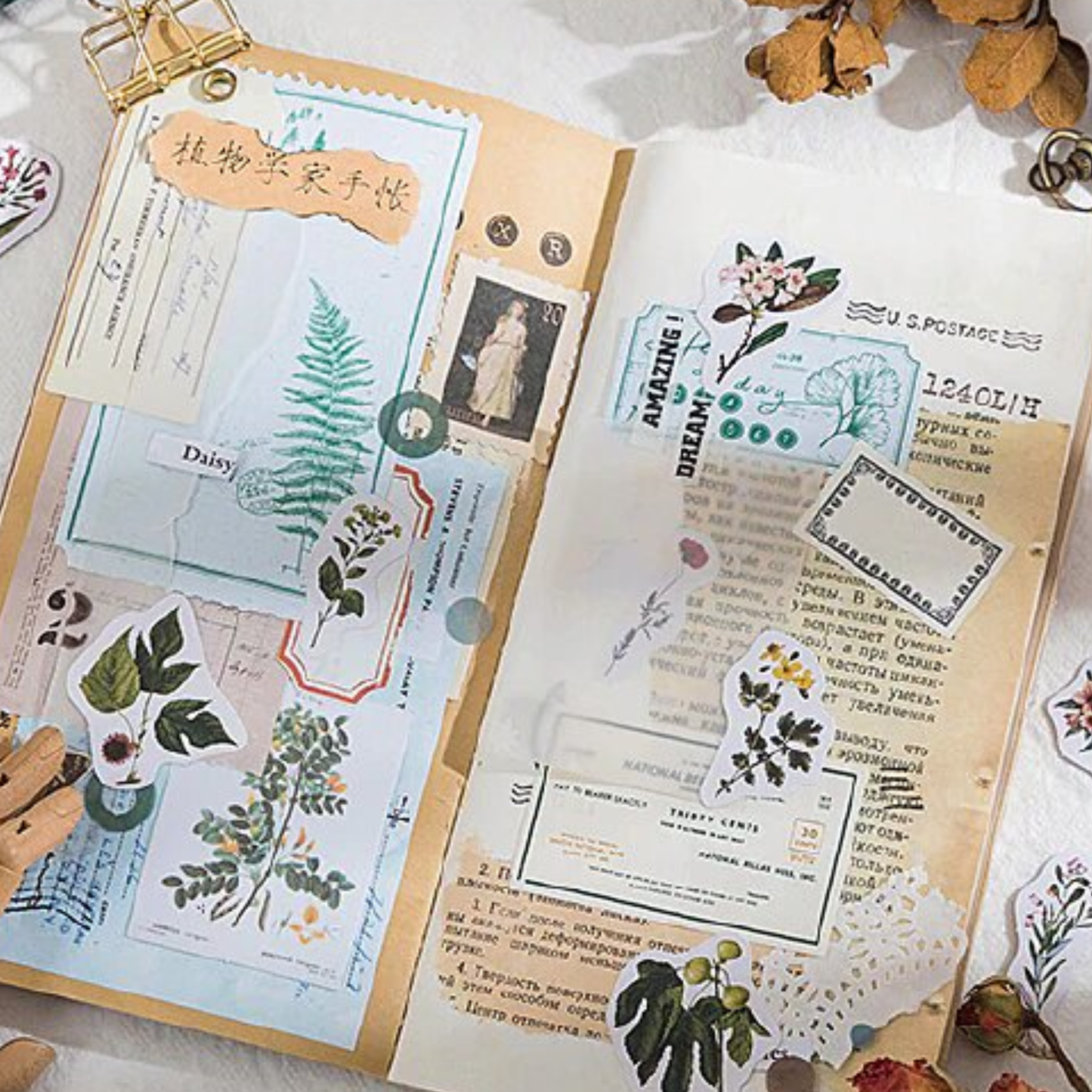 Institute of Botany - Self Adhesive Sticker Box