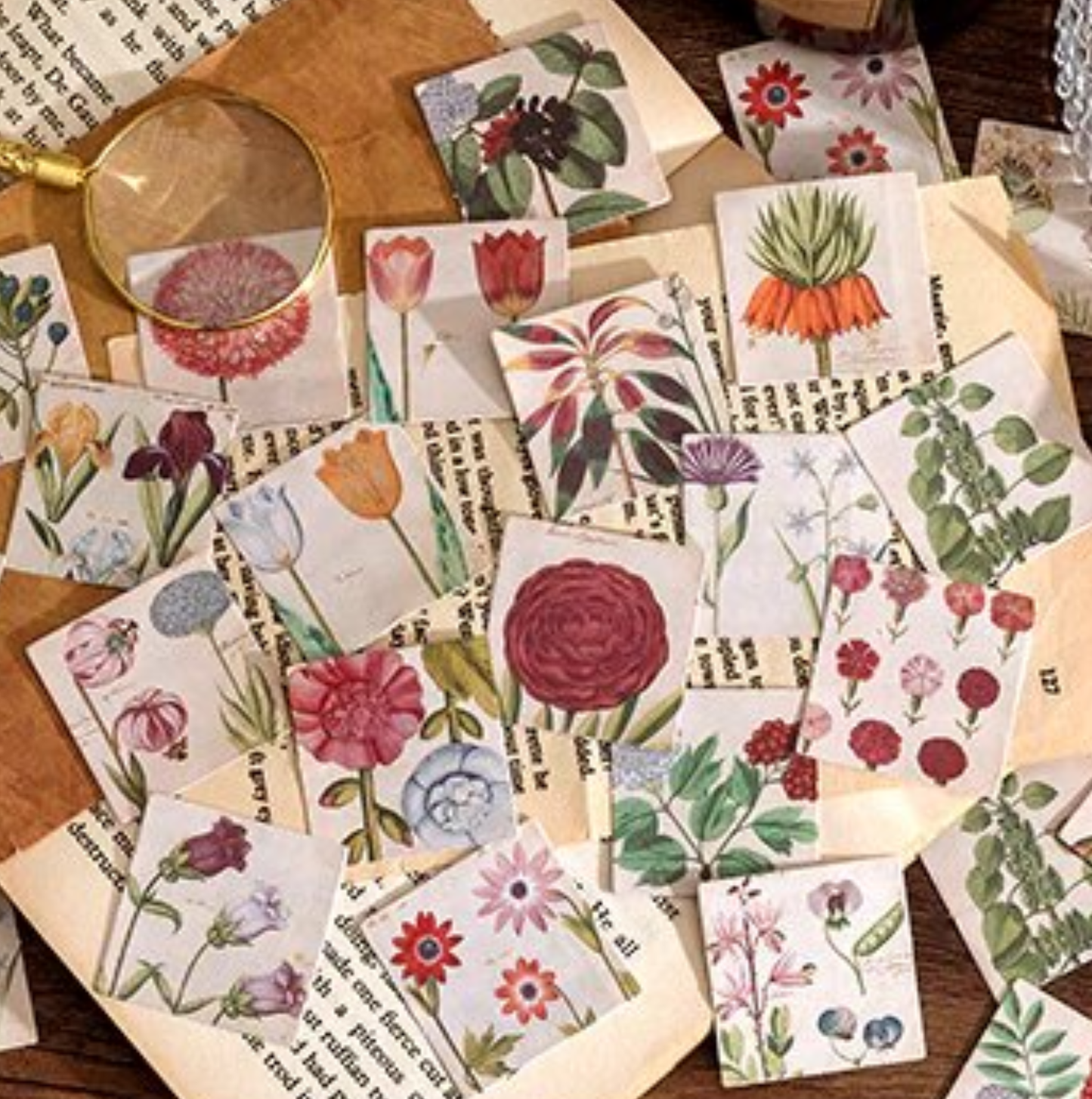 Notes On Plants - Self Adhesive Sticker Box