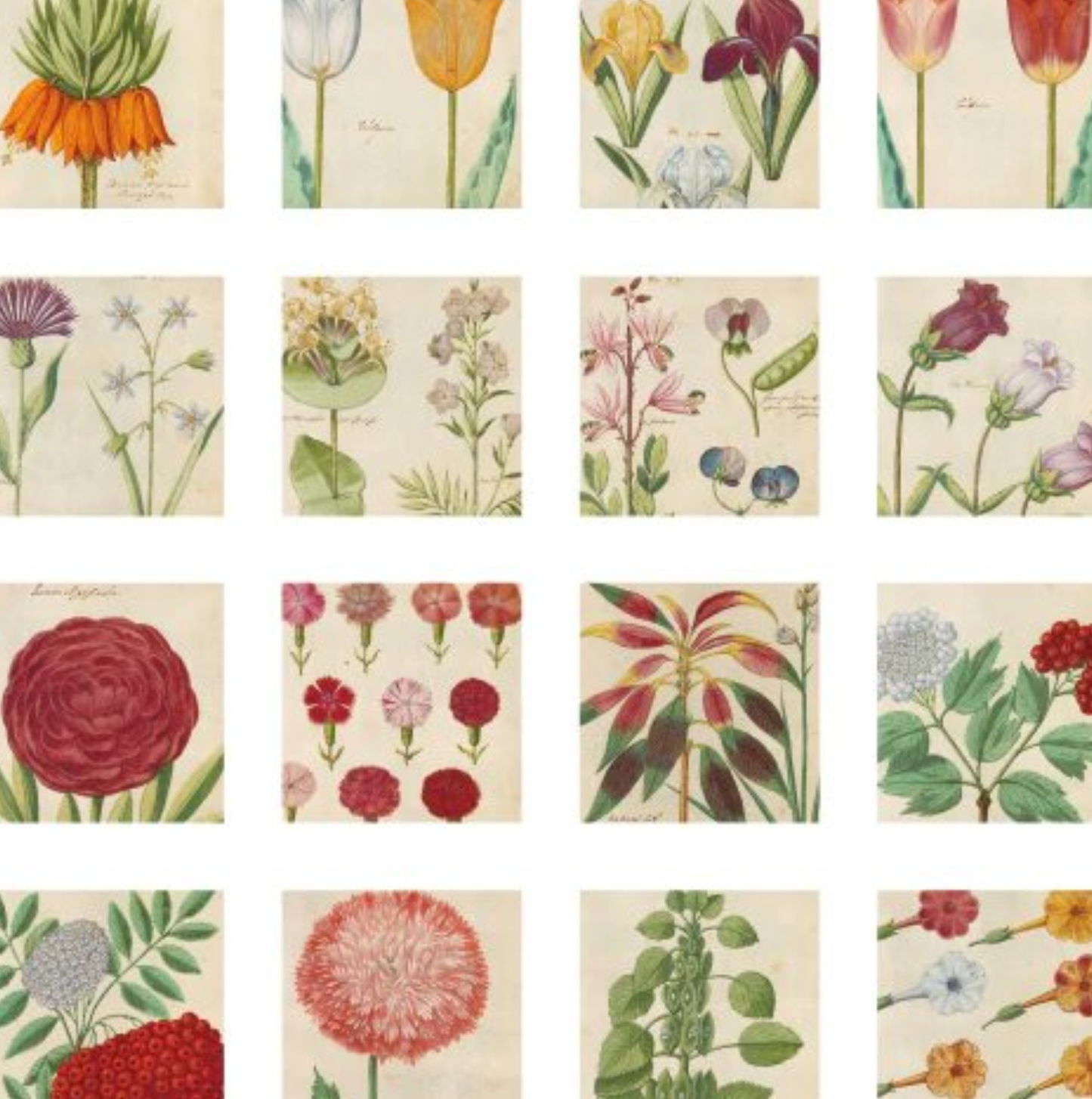 Notes On Plants - Self Adhesive Sticker Box