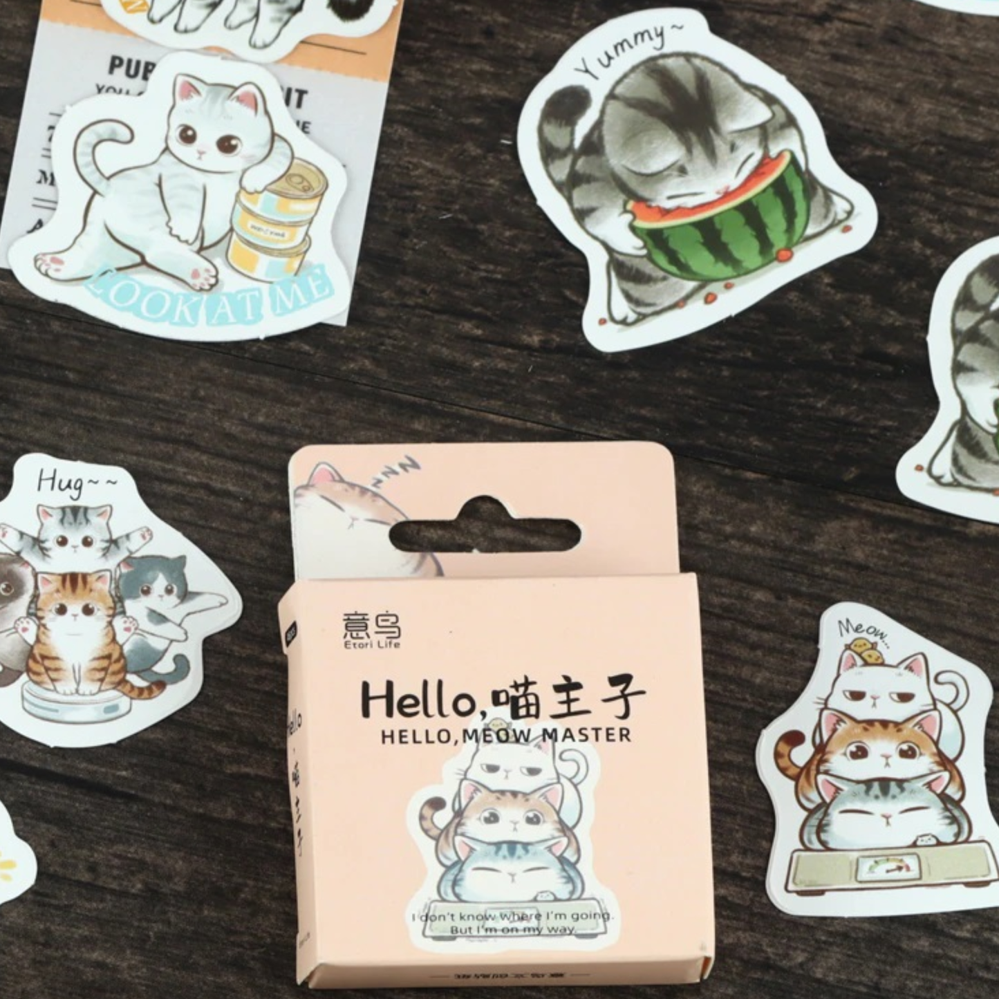 Playful Kittens - Self Adhesive Sticker Box