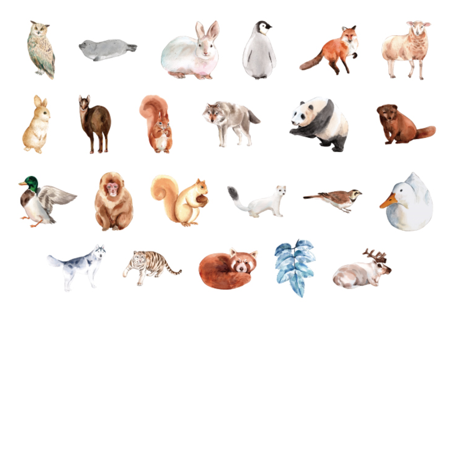 Animal Kingdom - Self Adhesive Sticker Box