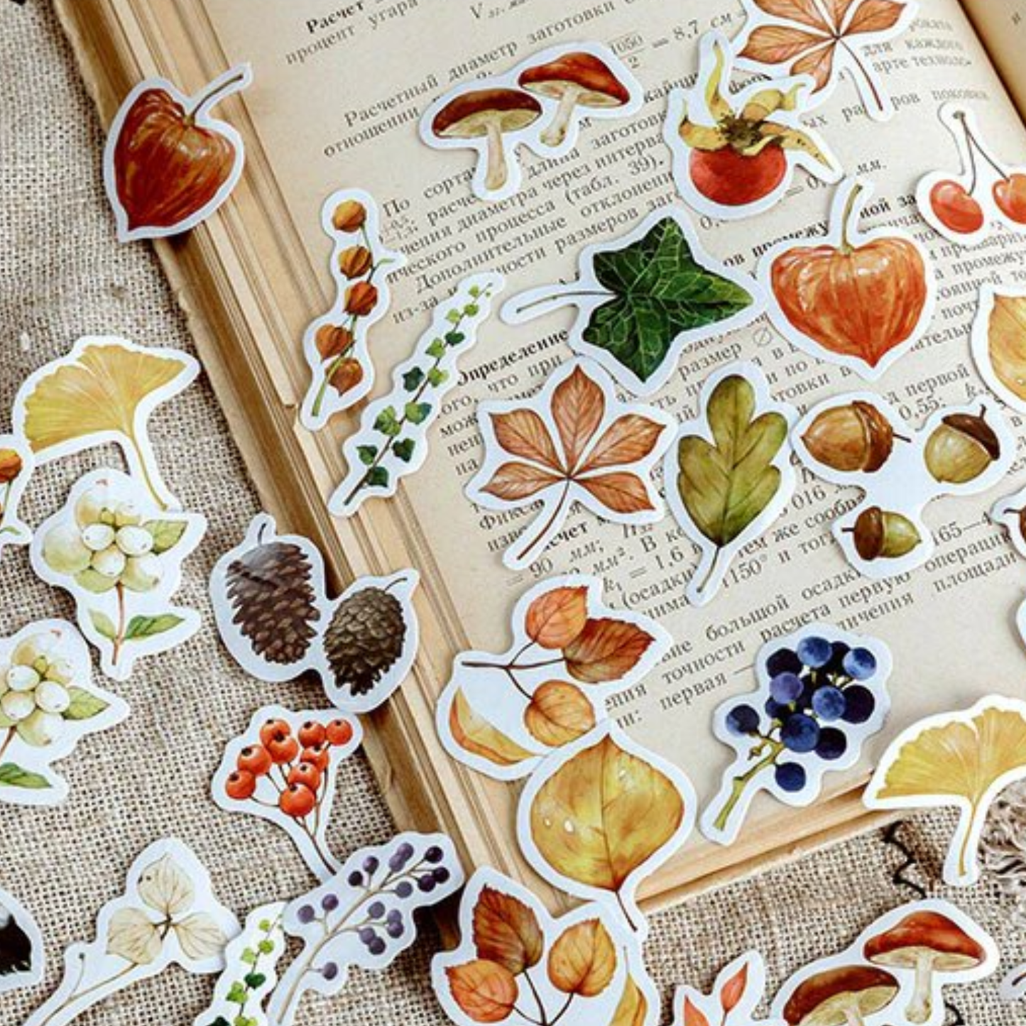 Autumn Leaves - Self Adhesive Sticker Box