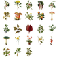 Botanical Forest - Self Adhesive Sticker Box