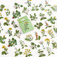 Botanical Flowers - Self Adhesive Sticker Box