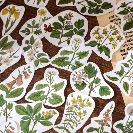 Botanical Flowers - Self Adhesive Sticker Box