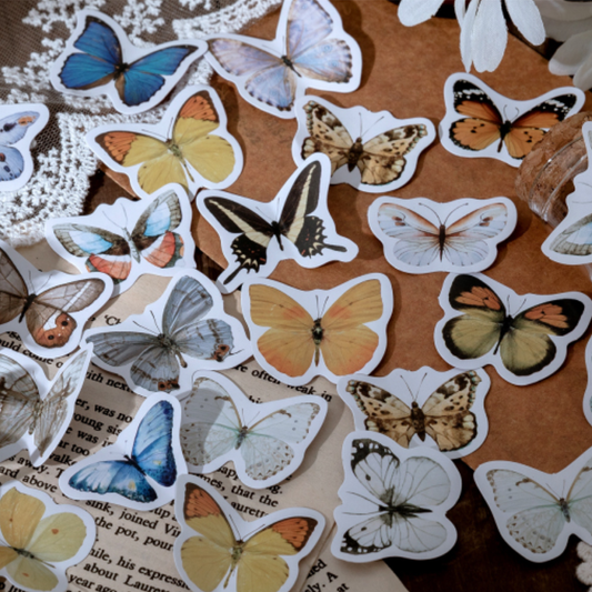 Brief History of Butterflies - Self Adhesive Sticker Box