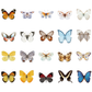 Brief History of Butterflies - Self Adhesive Sticker Box