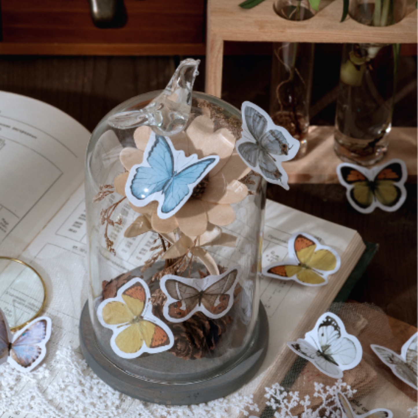 Brief History of Butterflies - Self Adhesive Sticker Box