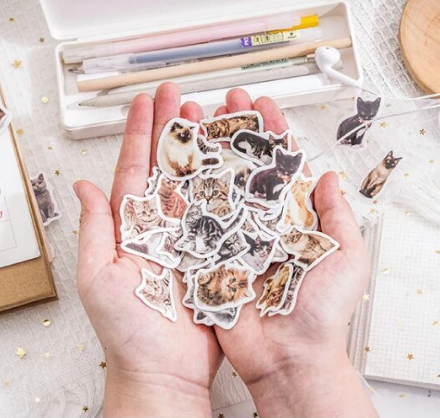 Cats Galore - Self Adhesive Sticker Box