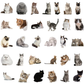 Cats Galore - Self Adhesive Sticker Box