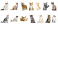 Cats Galore - Self Adhesive Sticker Box