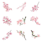 Cherry Blossom Branches - Self Adhesive Sticker Box