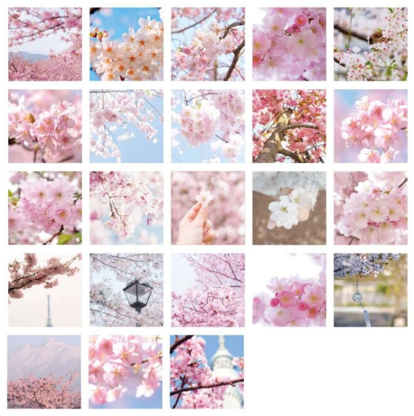 Cherry Blossom Skies - Self Adhesive Sticker Box