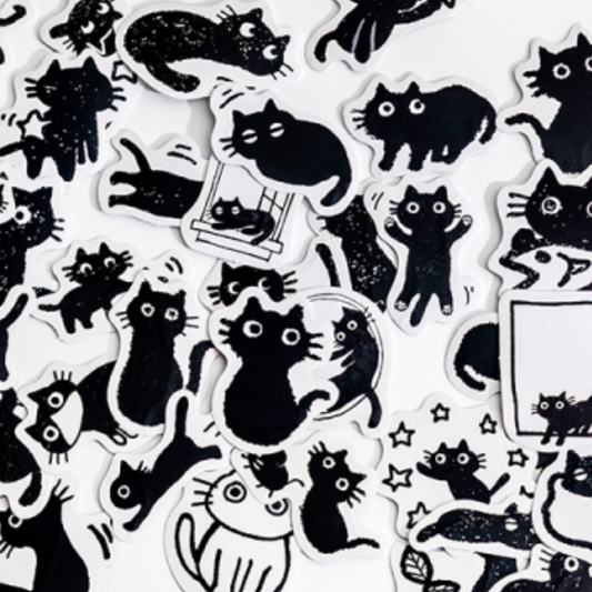 Curious Black Cats - Self Adhesive Sticker Box