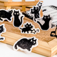 Curious Black Cats - Self Adhesive Sticker Box