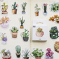 Cute Succulents - Self Adhesive Sticker Box