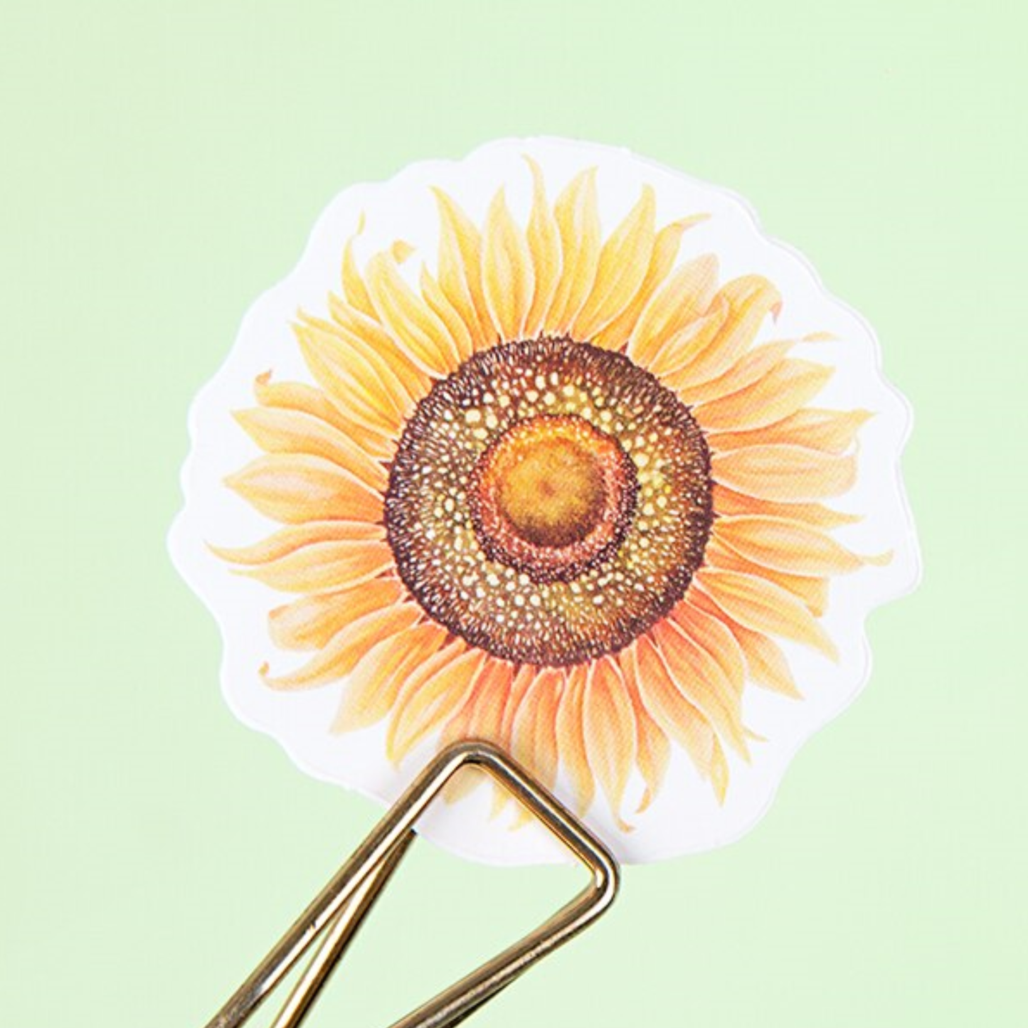 Daisy and Sunflower - Self Adhesive Sticker Box