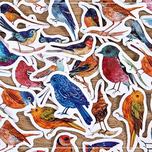 Garden Birds - Self Adhesive Sticker Box