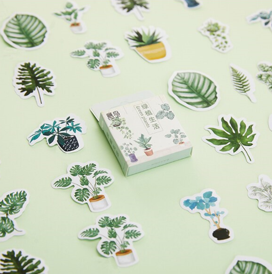 Green Houseplants - Self Adhesive Sticker Box