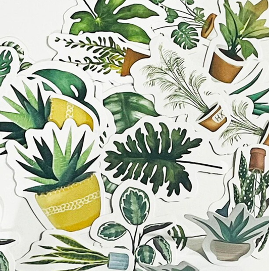 Green Houseplants - Self Adhesive Sticker Box