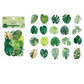 Monstera Leaves - Sticker Sheet