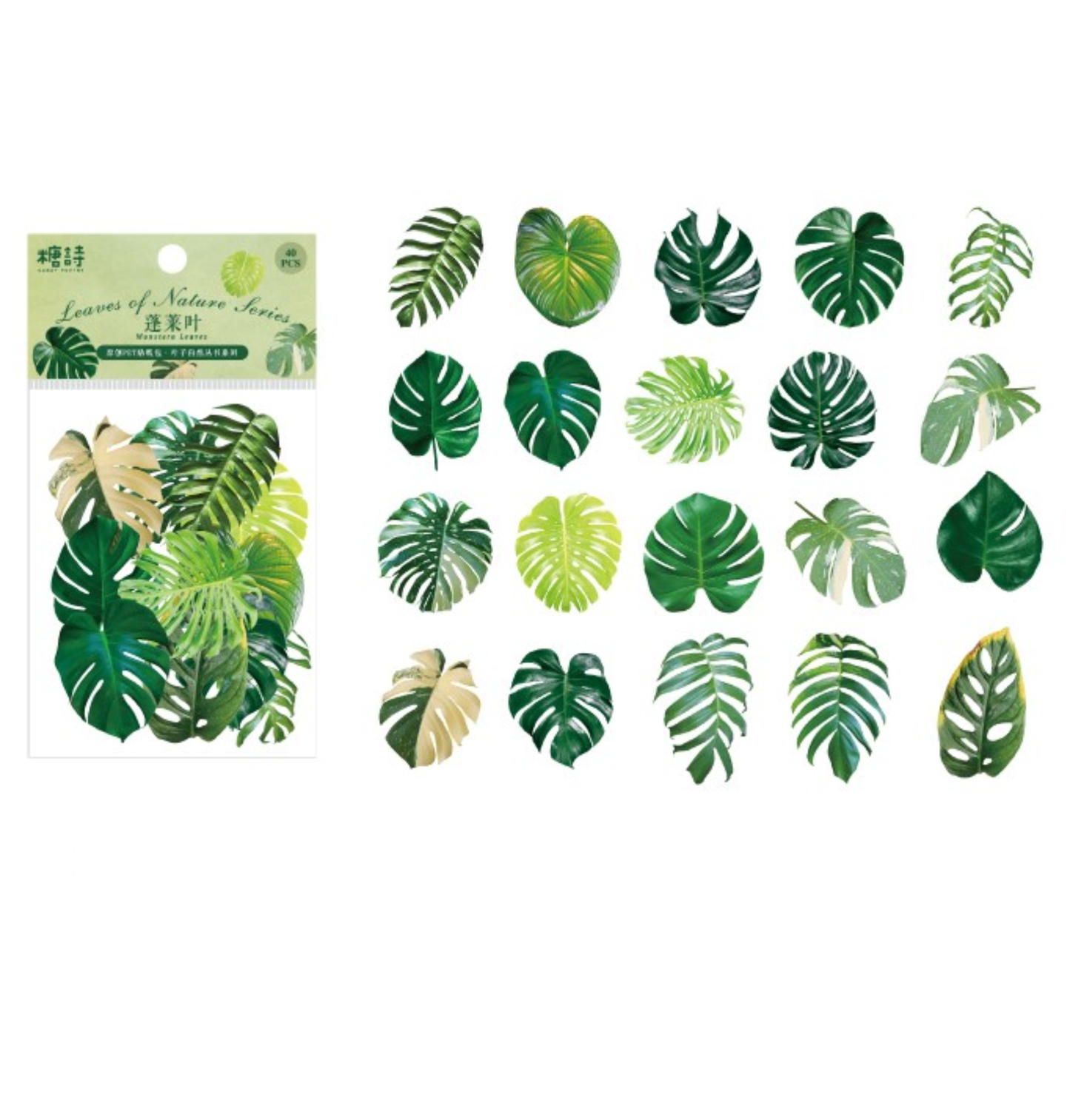 Monstera Leaves - Sticker Sheet