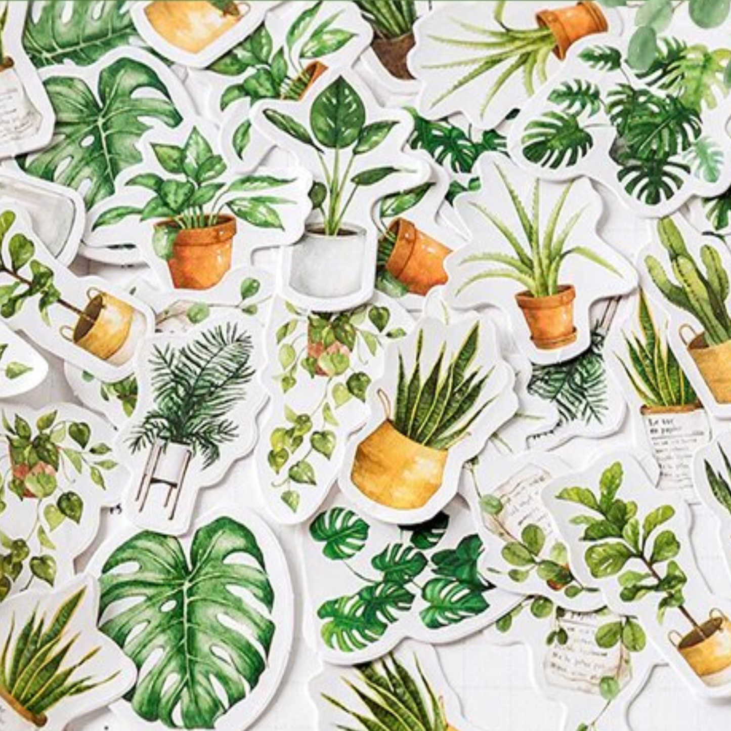 Houseplants - Self Adhesive Sticker Box