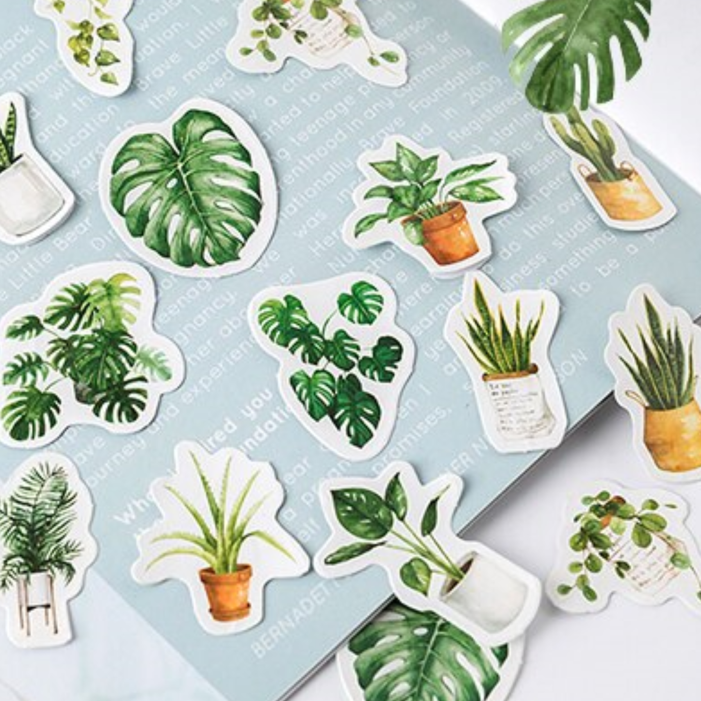 Houseplants - Self Adhesive Sticker Box