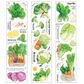 Kitchen Garden Set - Light Green - Sticker Sheet
