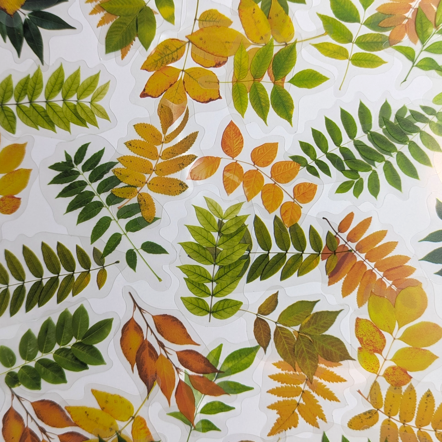 Small leaves - Sticker Sheet