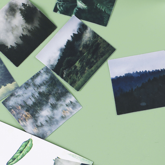 Misty Mountain Forest - Self Adhesive Sticker Box