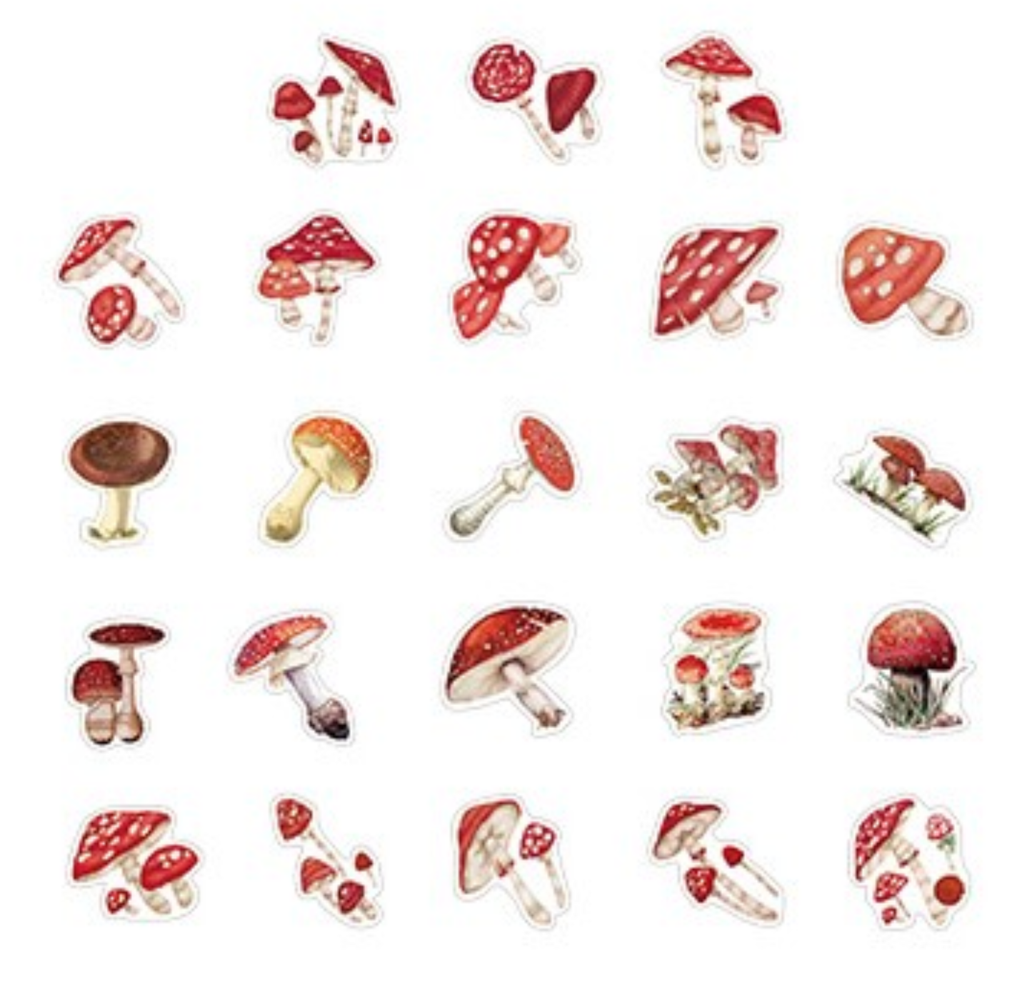 Mushroom Medley - Self Adhesive Sticker Box