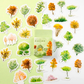 Norway Forest - Self Adhesive Sticker Box