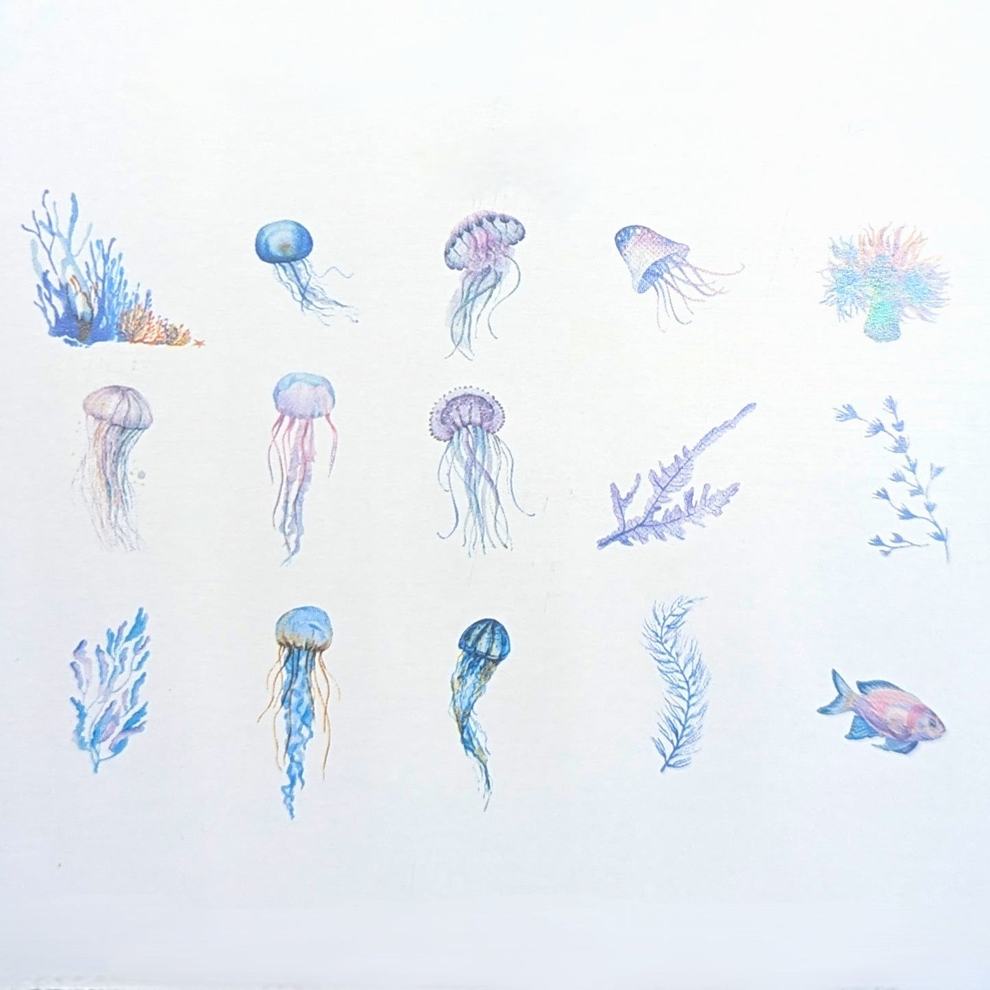 Jelly Fish - Sticker Sheet