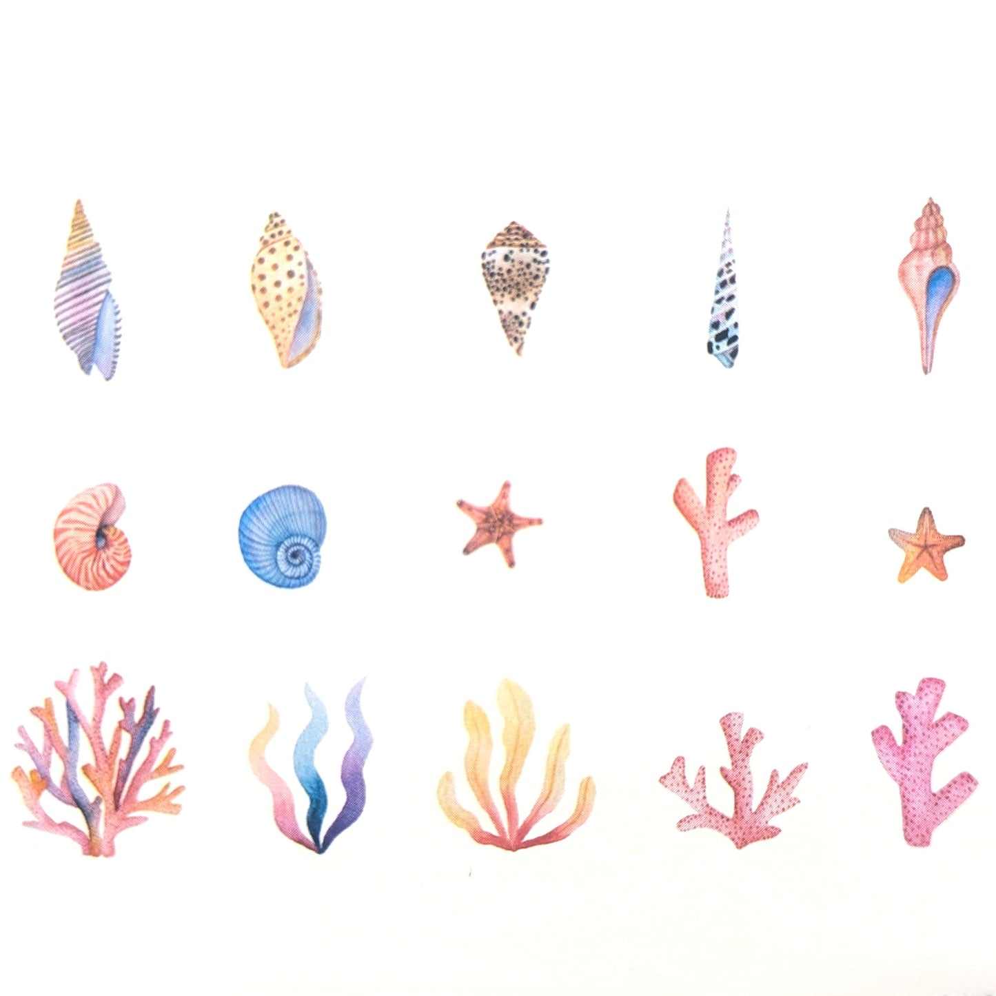 Pink Coral & Shells - Sticker Sheet