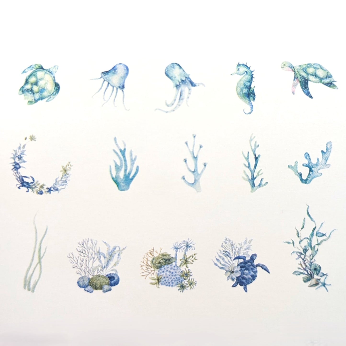 Turtles & Seahorses - Sticker Sheet