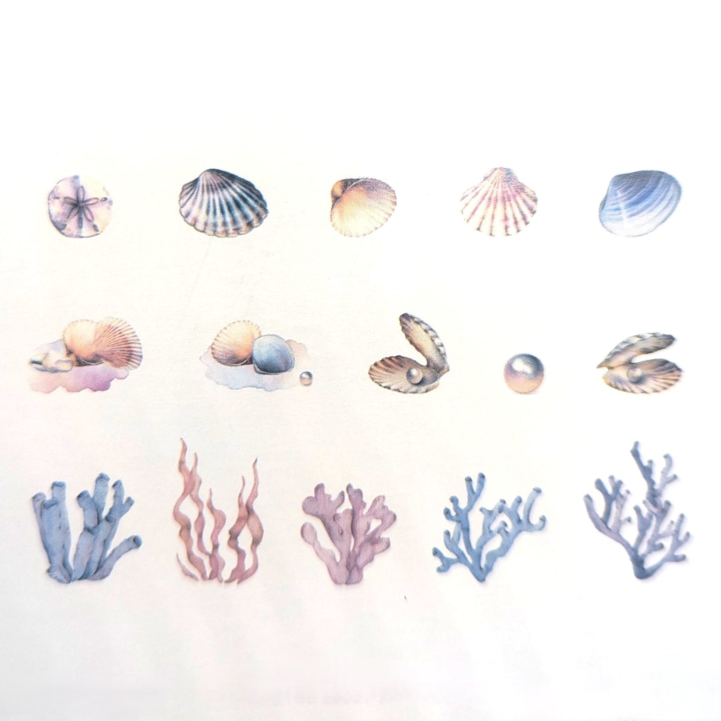 Coral & Oysters - Sticker Sheet