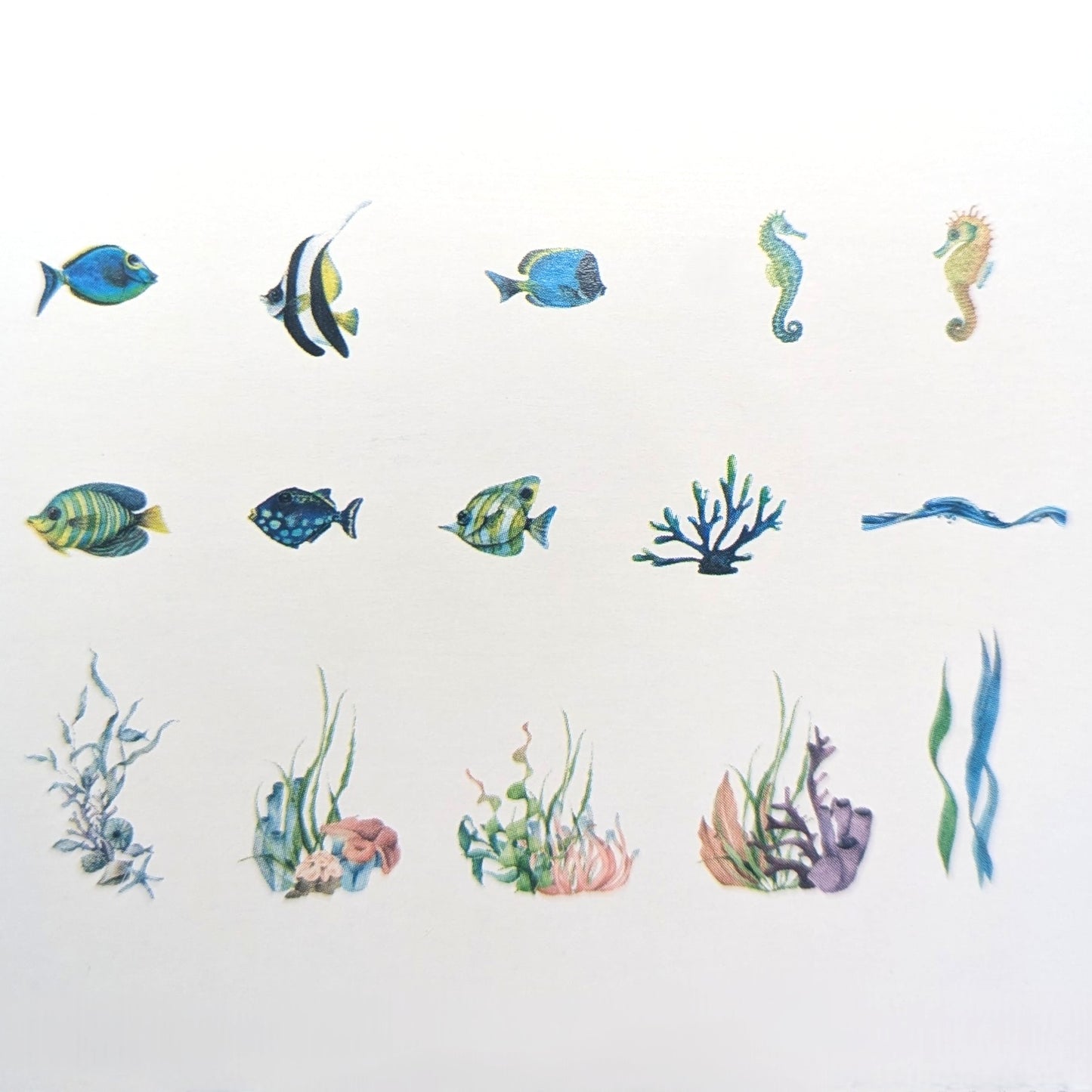 Blue Coral Reef - Sticker Sheet