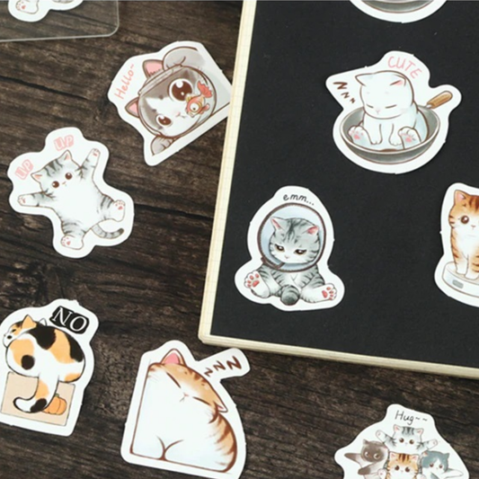 Playful Kittens - Self Adhesive Sticker Box