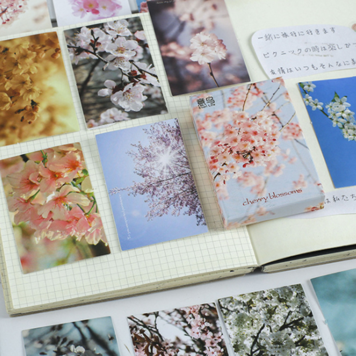 Spring Cherry Blossom - Self Adhesive Sticker Box