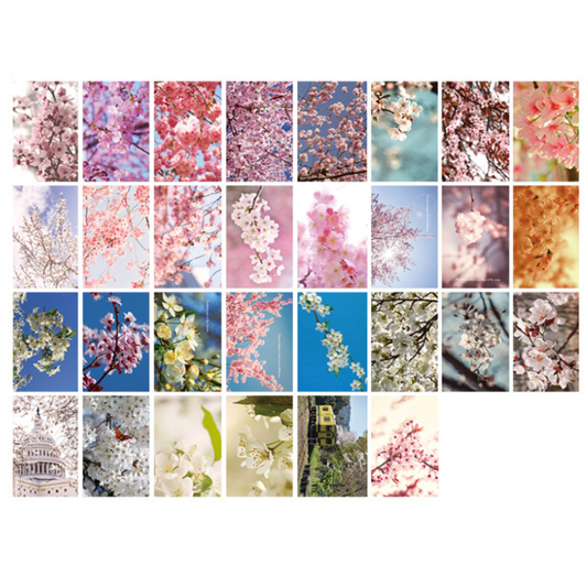 Spring Cherry Blossom - Self Adhesive Sticker Box