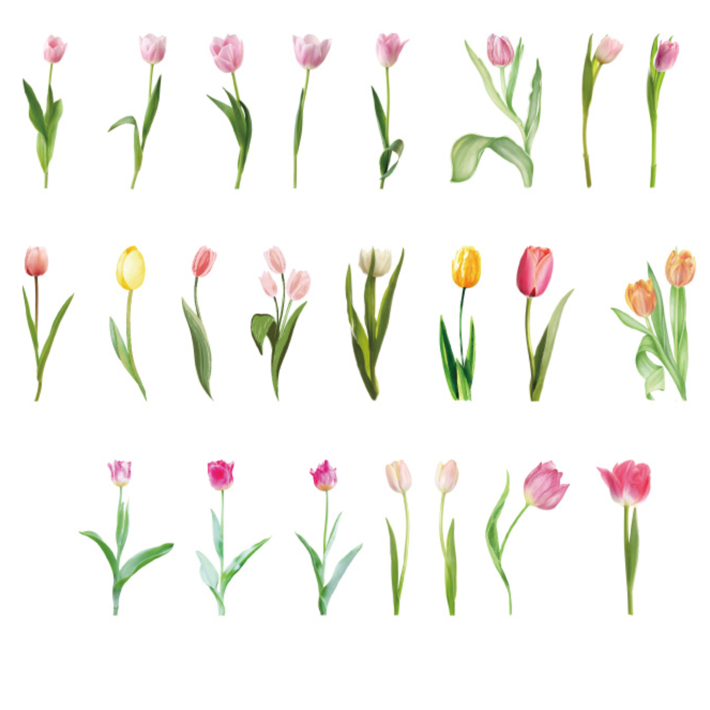 Spring Tulips - Self Adhesive Sticker Box