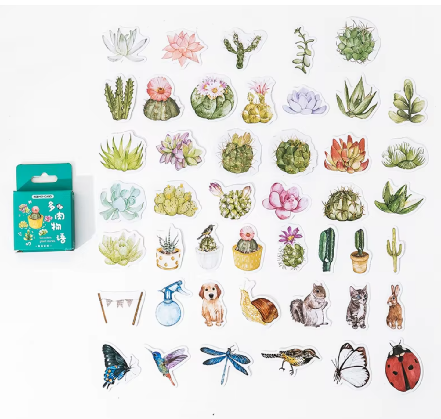 Succulent Plant Stories - Self Adhesive Sticker Box